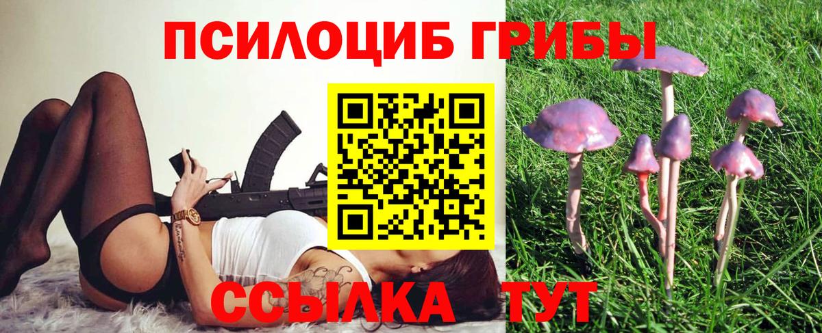 Галлюциногенные грибы мицелий  Чусовой 