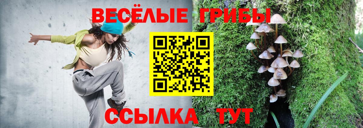 Галлюциногенные грибы Magic Shrooms Чусовой