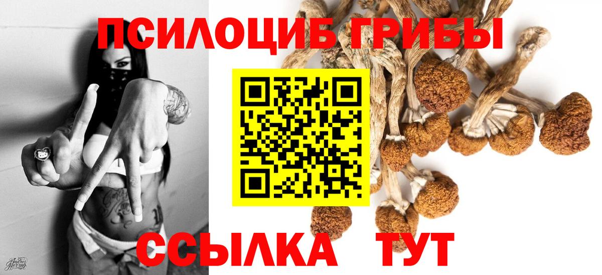 Чусовой  сколько стоит  Вход с VPN  Галлюциногенные грибы GOLDEN TEACHER 