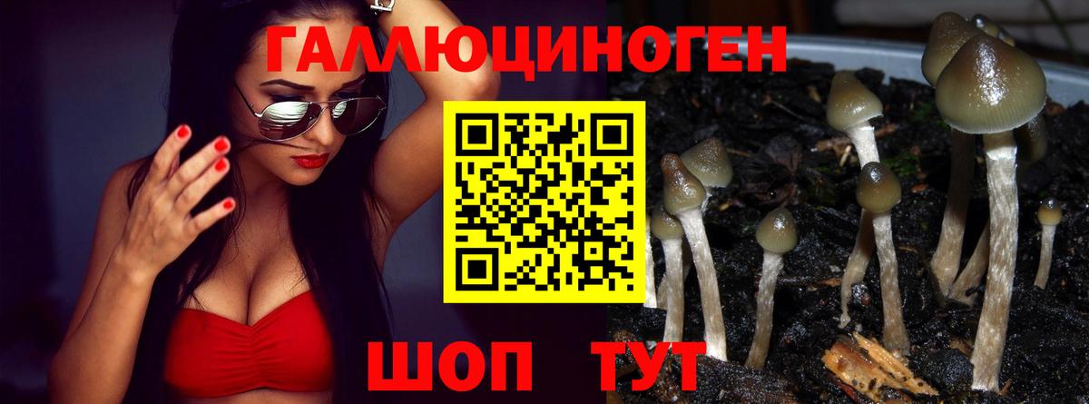 Галлюциногенные грибы Psilocybine cubensis Чусовой